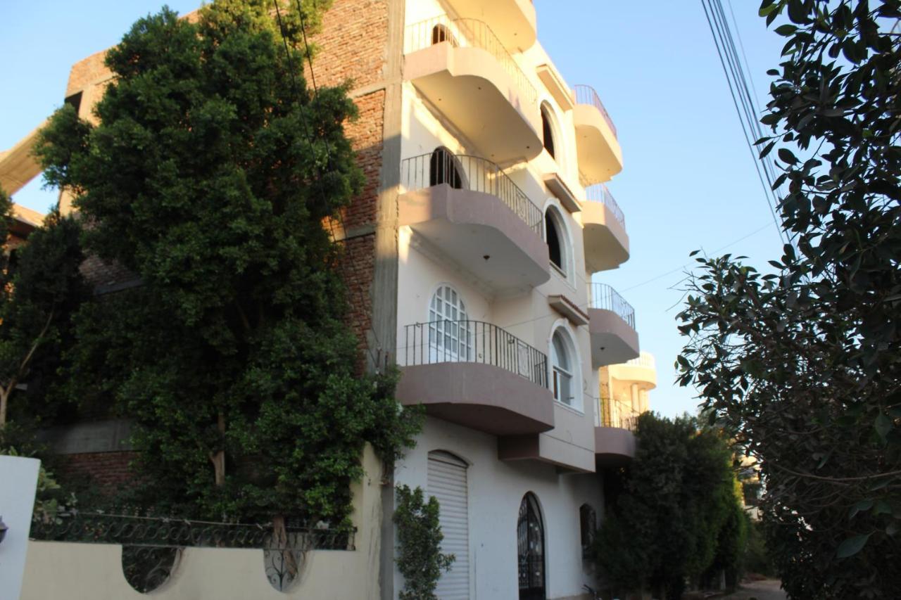 Al Ramla Guest House 룩소르 외부 사진